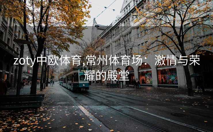 zoty中欧体育,常州体育场：激情与荣耀的殿堂