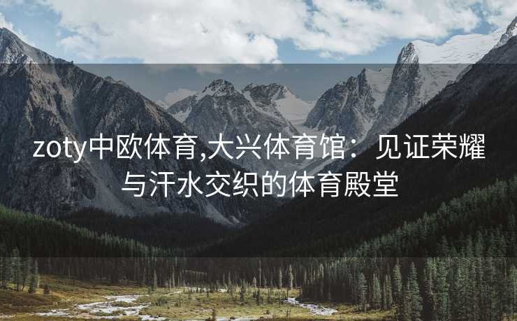 zoty中欧体育,大兴体育馆：见证荣耀与汗水交织的体育殿堂