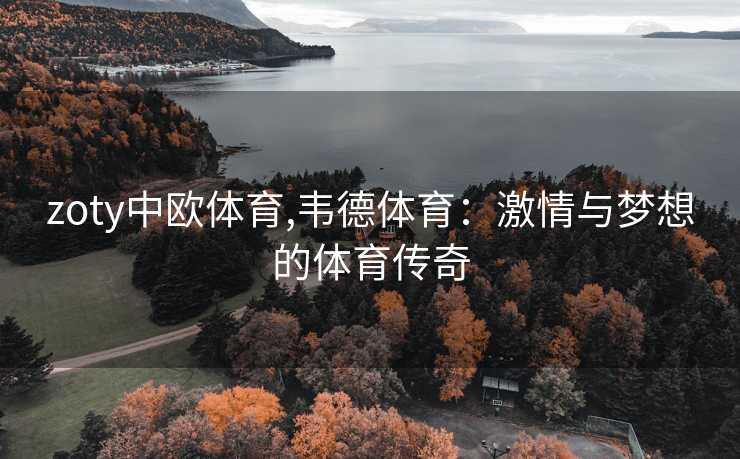 zoty中欧体育,韦德体育：激情与梦想的体育传奇