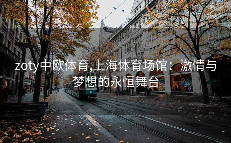 zoty中欧体育,上海体育场馆：激情与梦想的永恒舞台