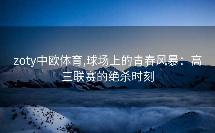 zoty中欧体育,球场上的青春风暴：高三联赛的绝杀时刻