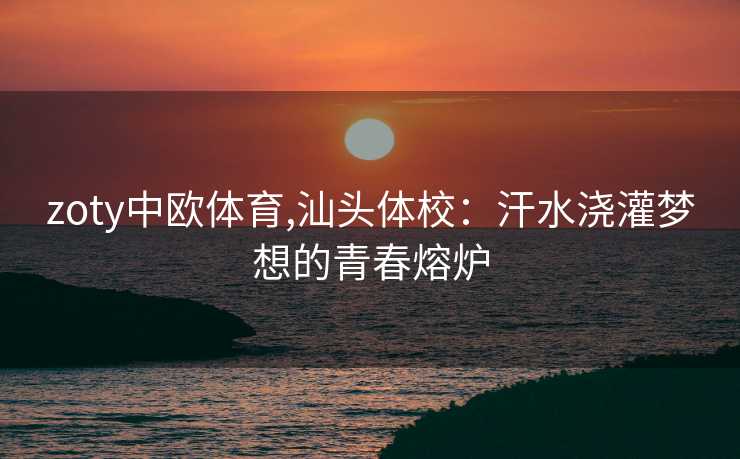 zoty中欧体育,汕头体校：汗水浇灌梦想的青春熔炉