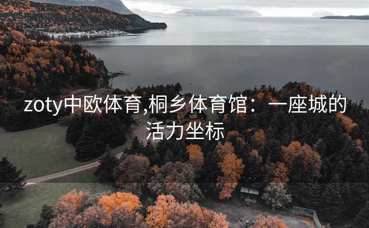 zoty中欧体育,桐乡体育馆：一座城的活力坐标